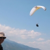 greece-olympic-wings-116