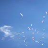 paragliding world cup - PWC - Drama 2010