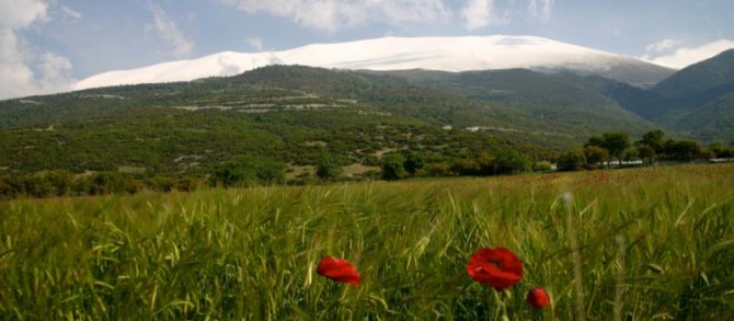 landscape at Mount Olympus