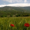 landscape at Mount Olympus